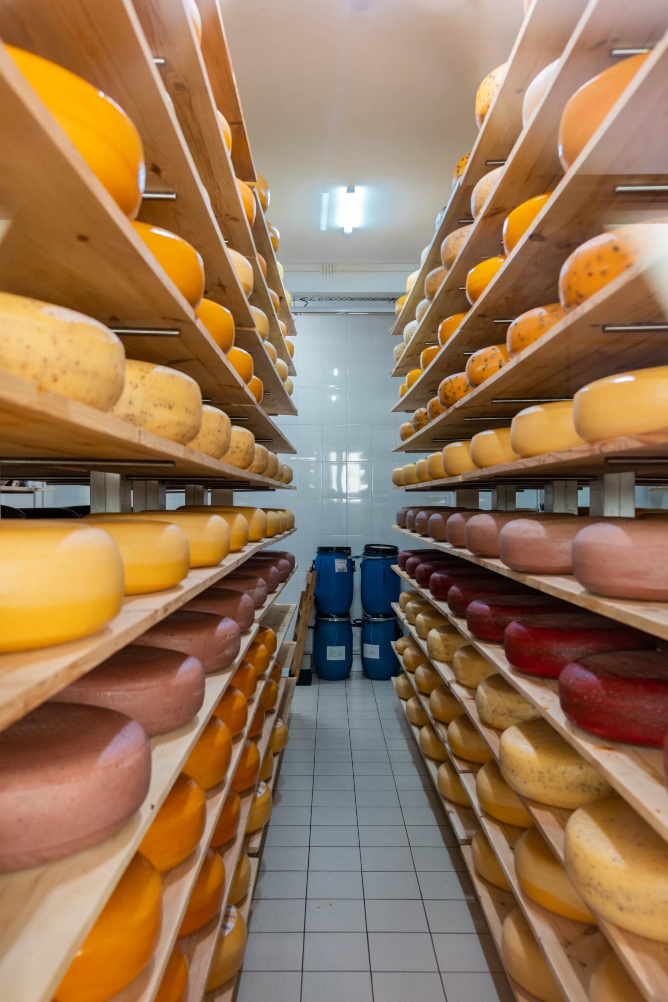 Гастрономическое приключение. Где дегустировать сыры, рыбу и вино в Бессарабии: лучшие локации